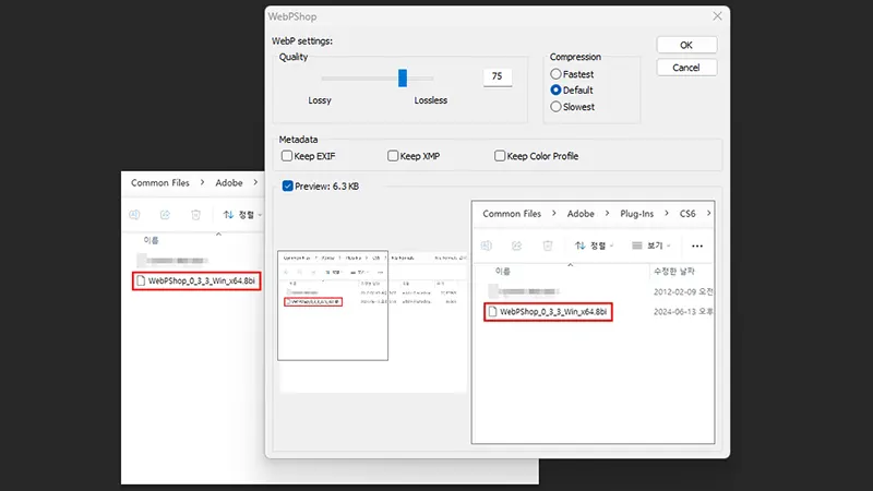 포토샵 CS6 webP 열기, 저장 방법 (구버전 쌉가능)