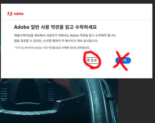 Adobe 일반 사용 약관을 읽고 수락하세요